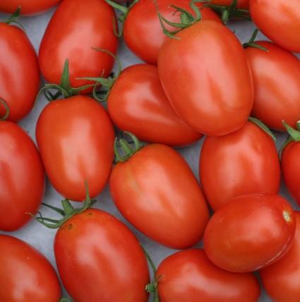TOMATOES ROMA BAG 1KG