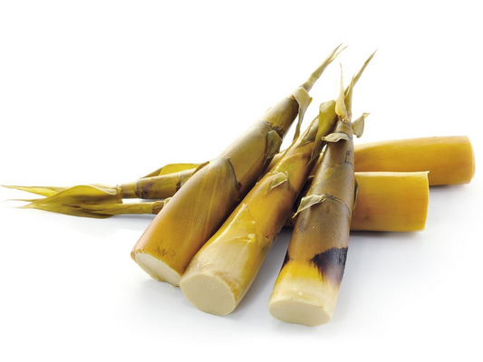 BAMBOO SHOOT