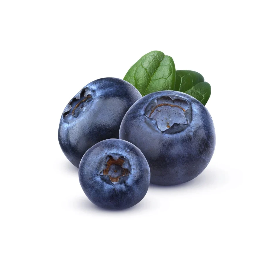 BLUEBERRY 125G PUNNET