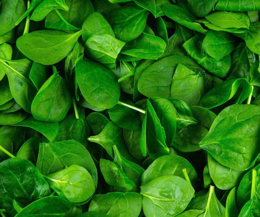 SALAD SPINACH TUB 100G