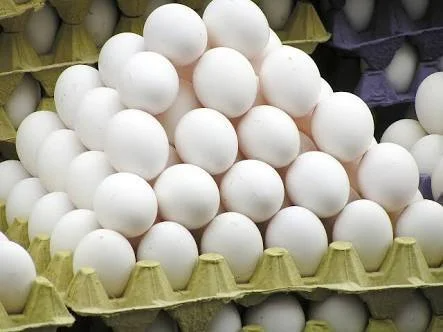 EGGS FROM FARM 20PC