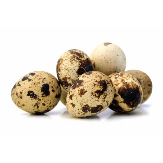 EGGS QUAIL