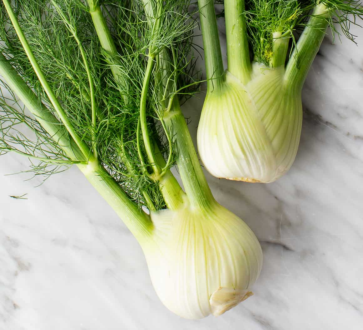 FENNEL