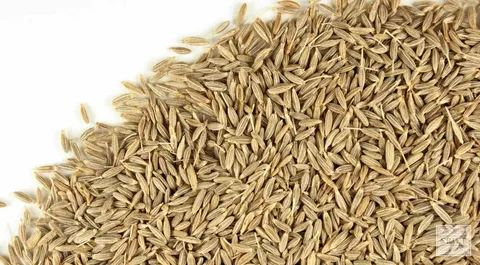 JJ CUMIN SEEDS 500G