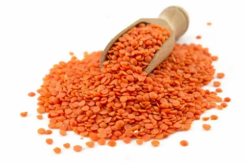 GP RED LENTILS