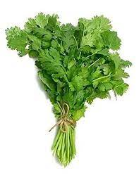 HERBS CORIANDER