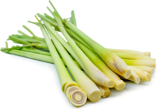 HERBS LEMONGRASS