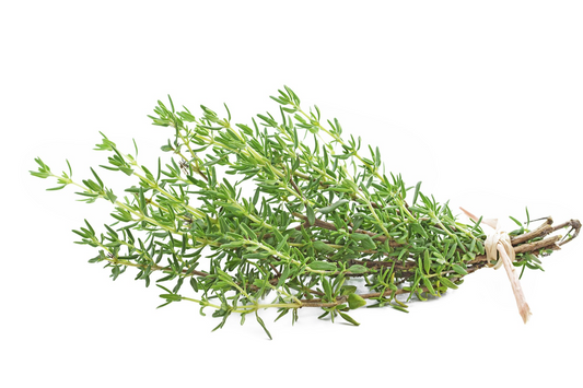 HERBS THYME