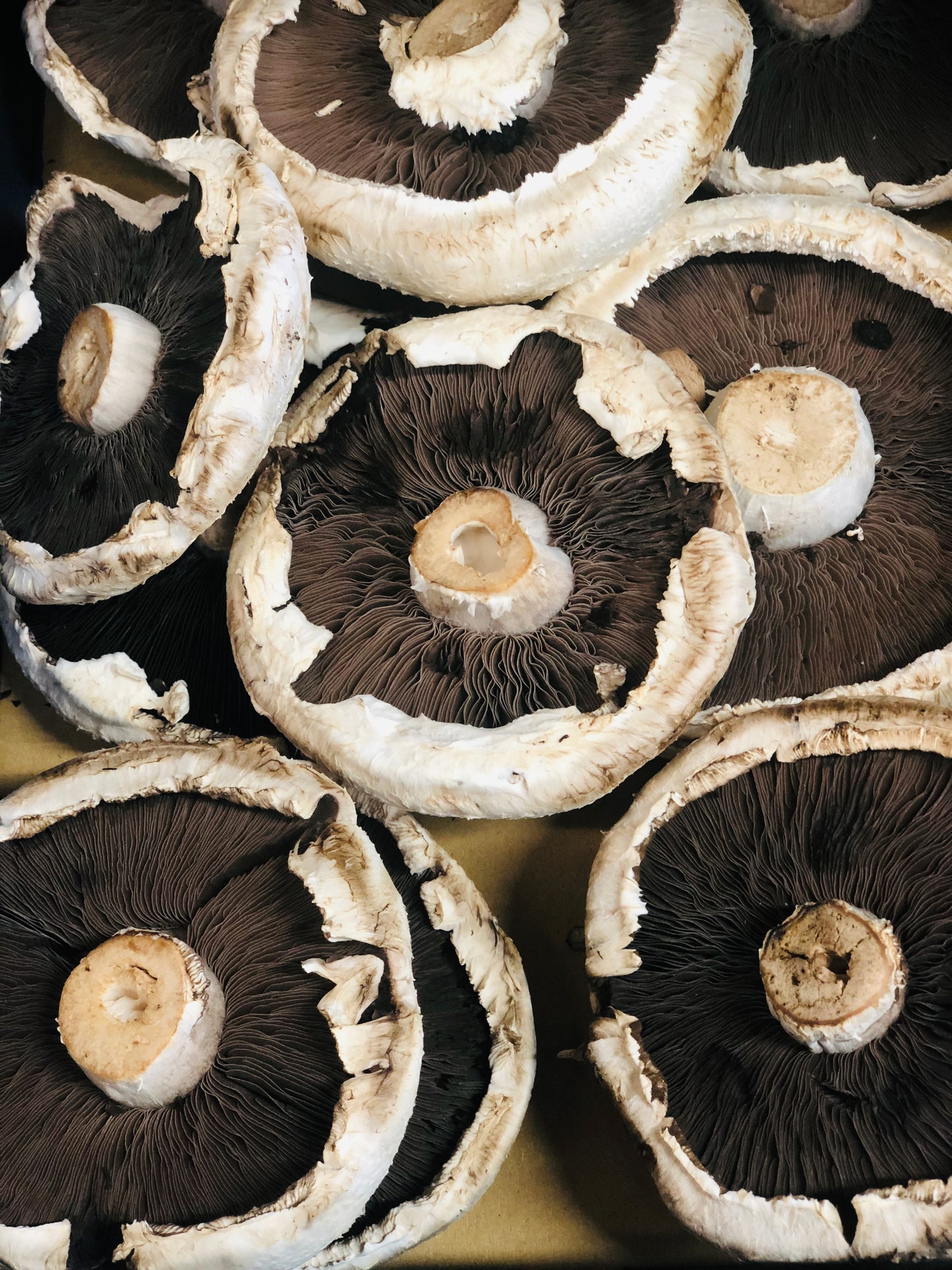 MUSHROOMS FLAT 300G