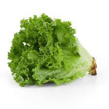 LETTUCE FANCY GREEN