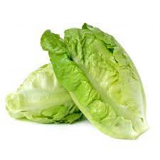 LETTUCE TWIN COS