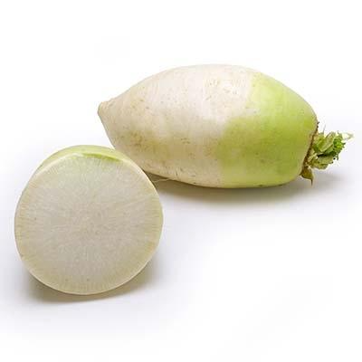 LOBOK OR WHITE RADISH