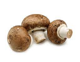 MUSHROOMS SWISS 250G