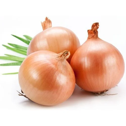 ONIONS BROWN