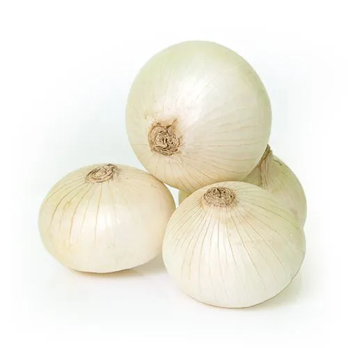 ONIONS WHITE