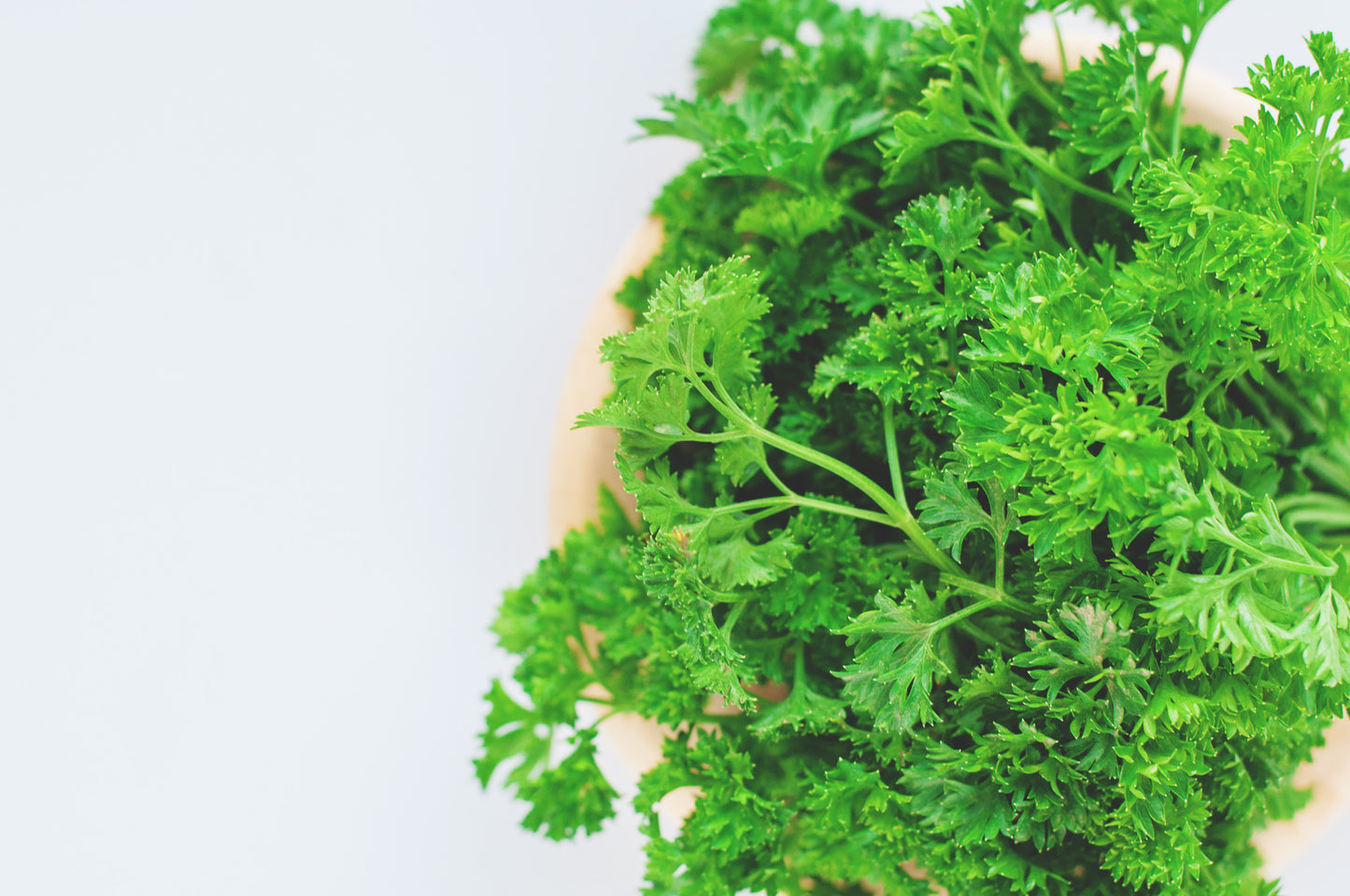 HERBS ITALIAN PARSLEY