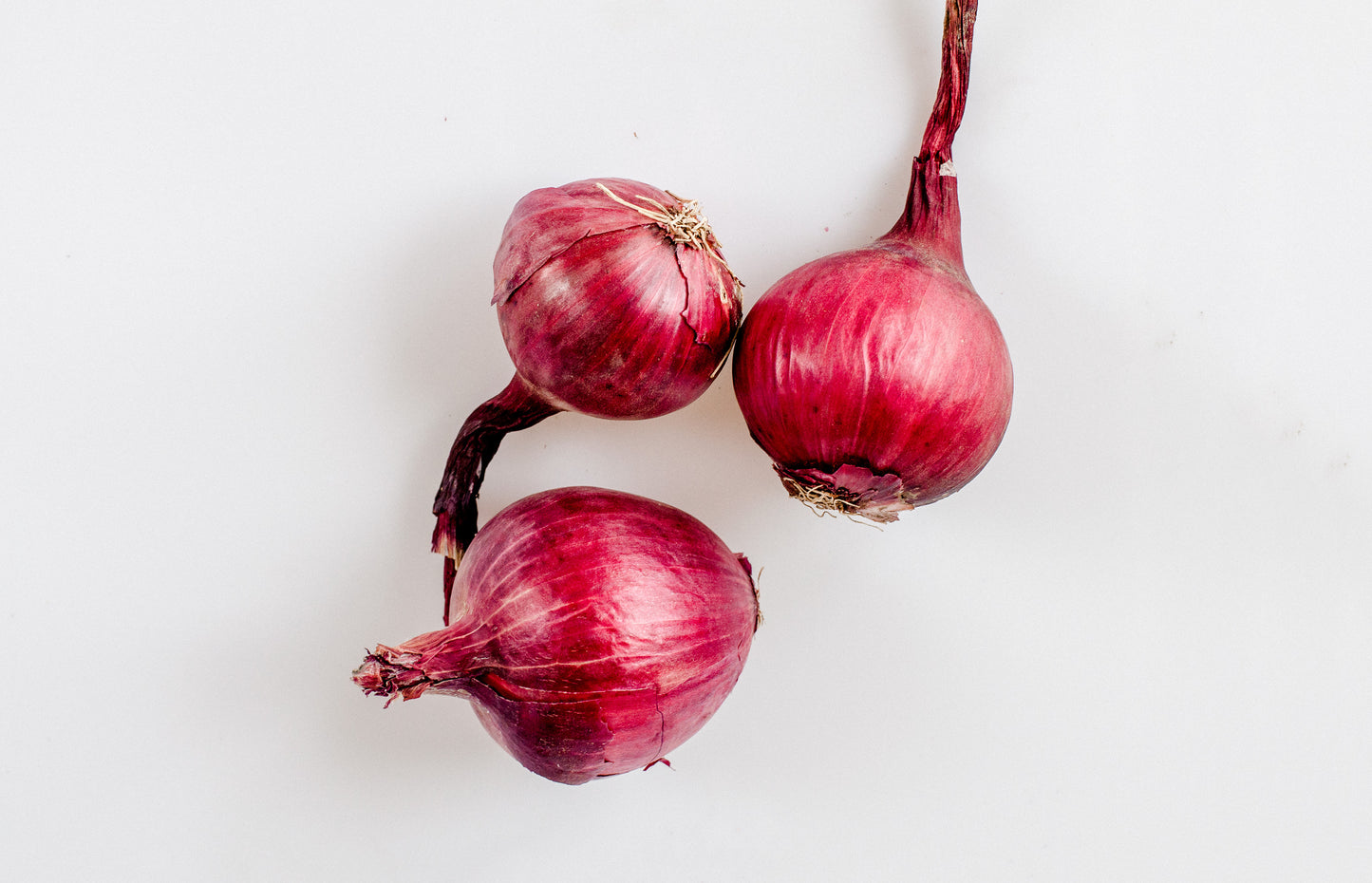 ONIONS RED