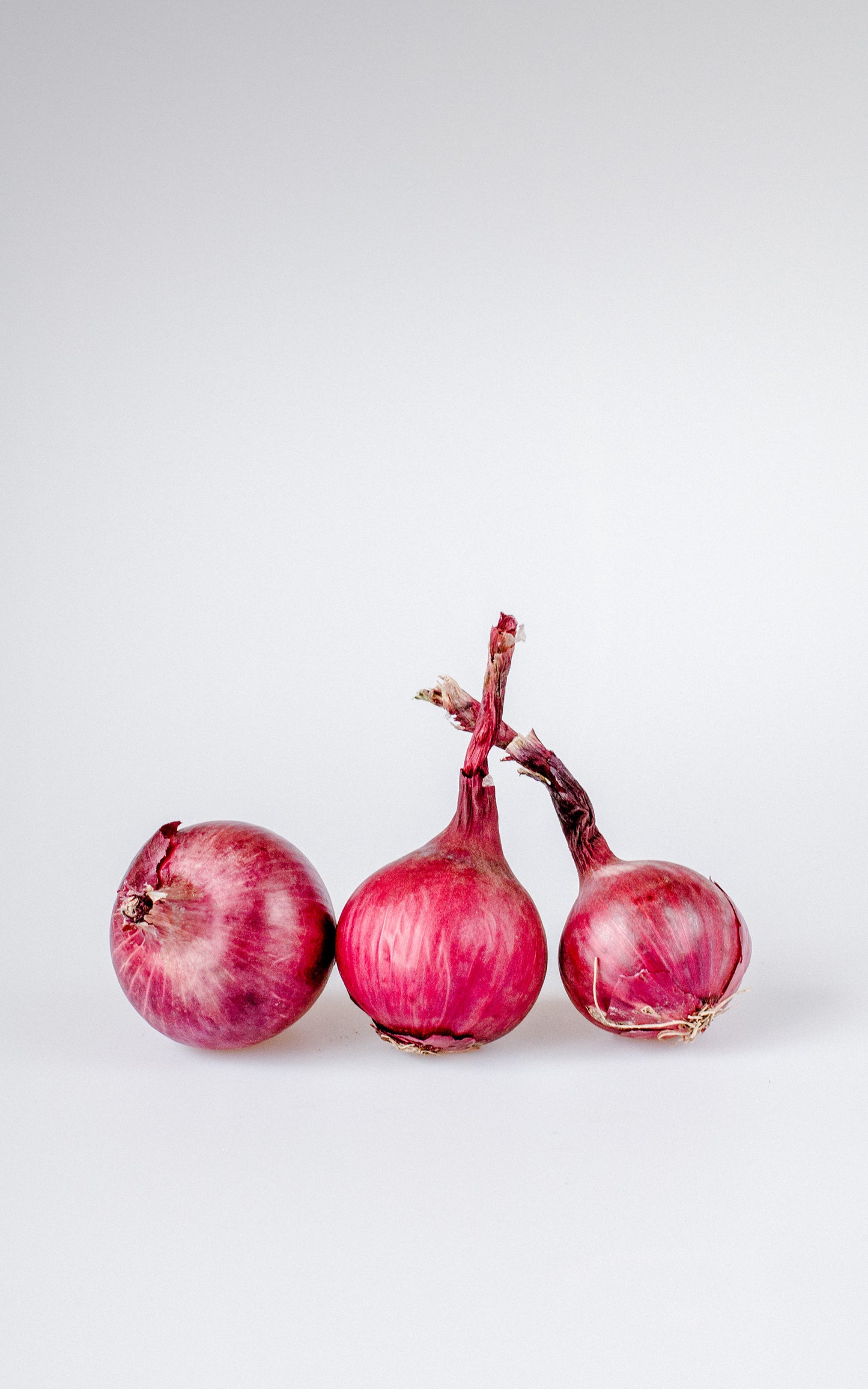 ONIONS RED