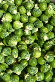 SPROUTS BRUSSEL 100G