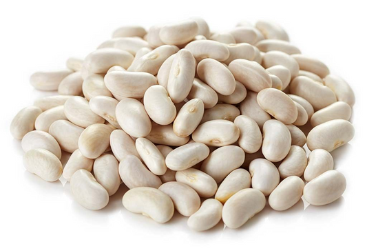 AEGEAN WHITE BEANS CAN