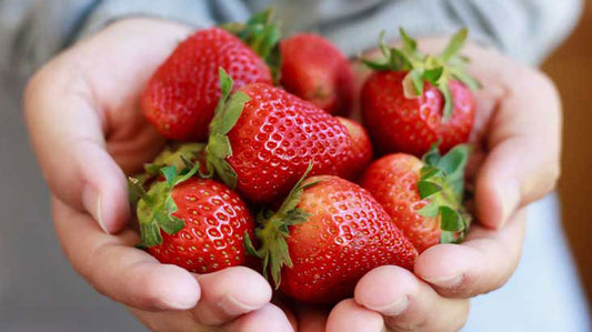 STRAWBERRY 250G PUNNET